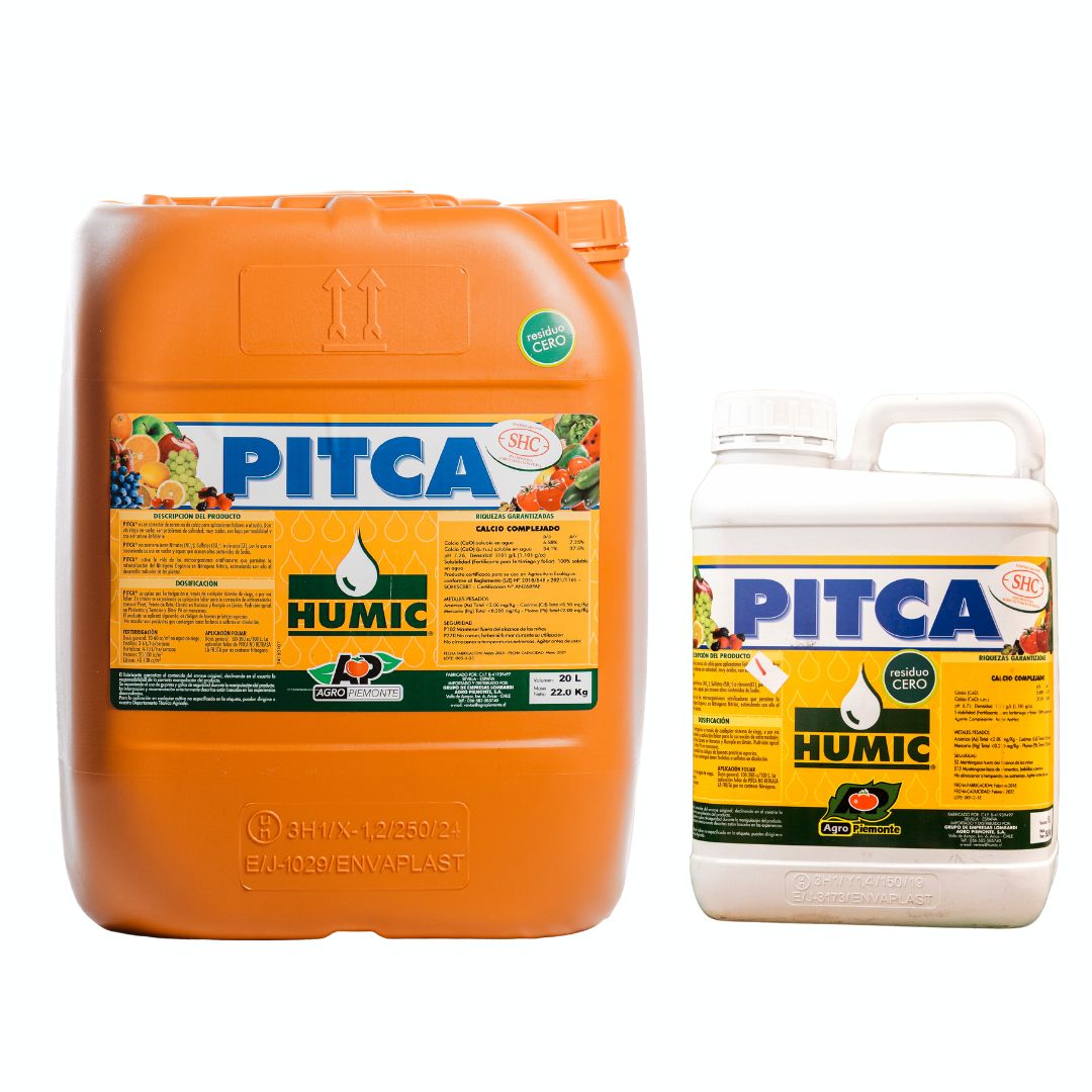 PITCA