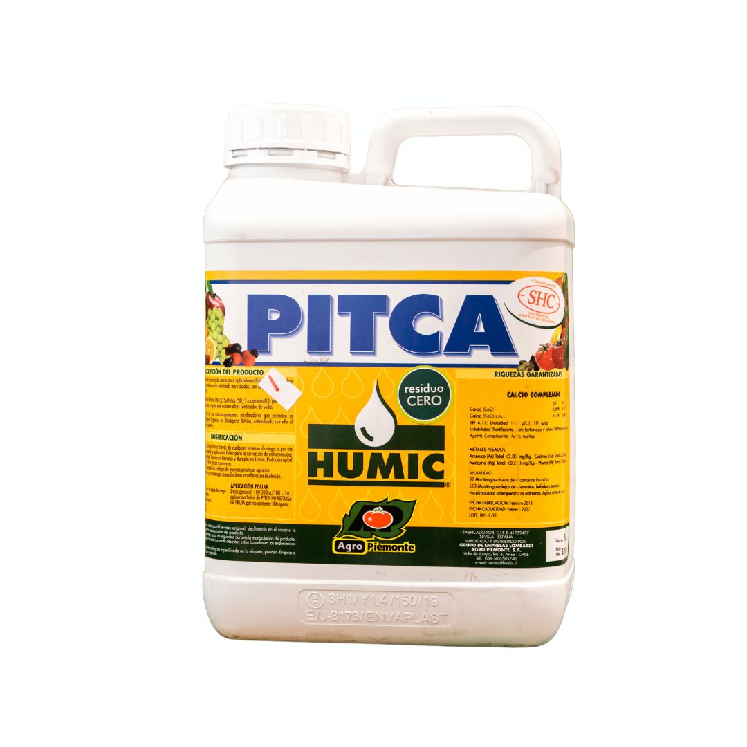 PITCA