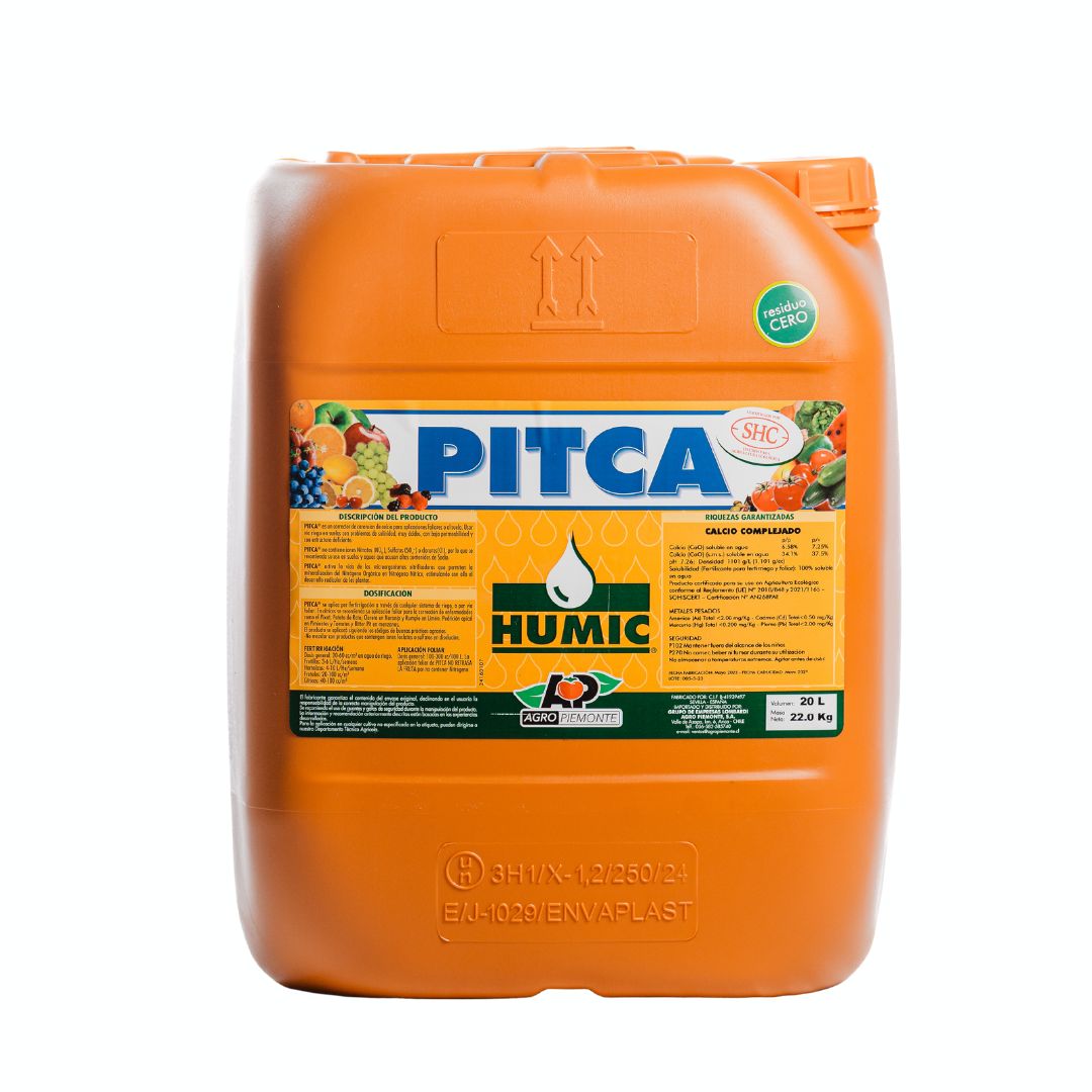 PITCA