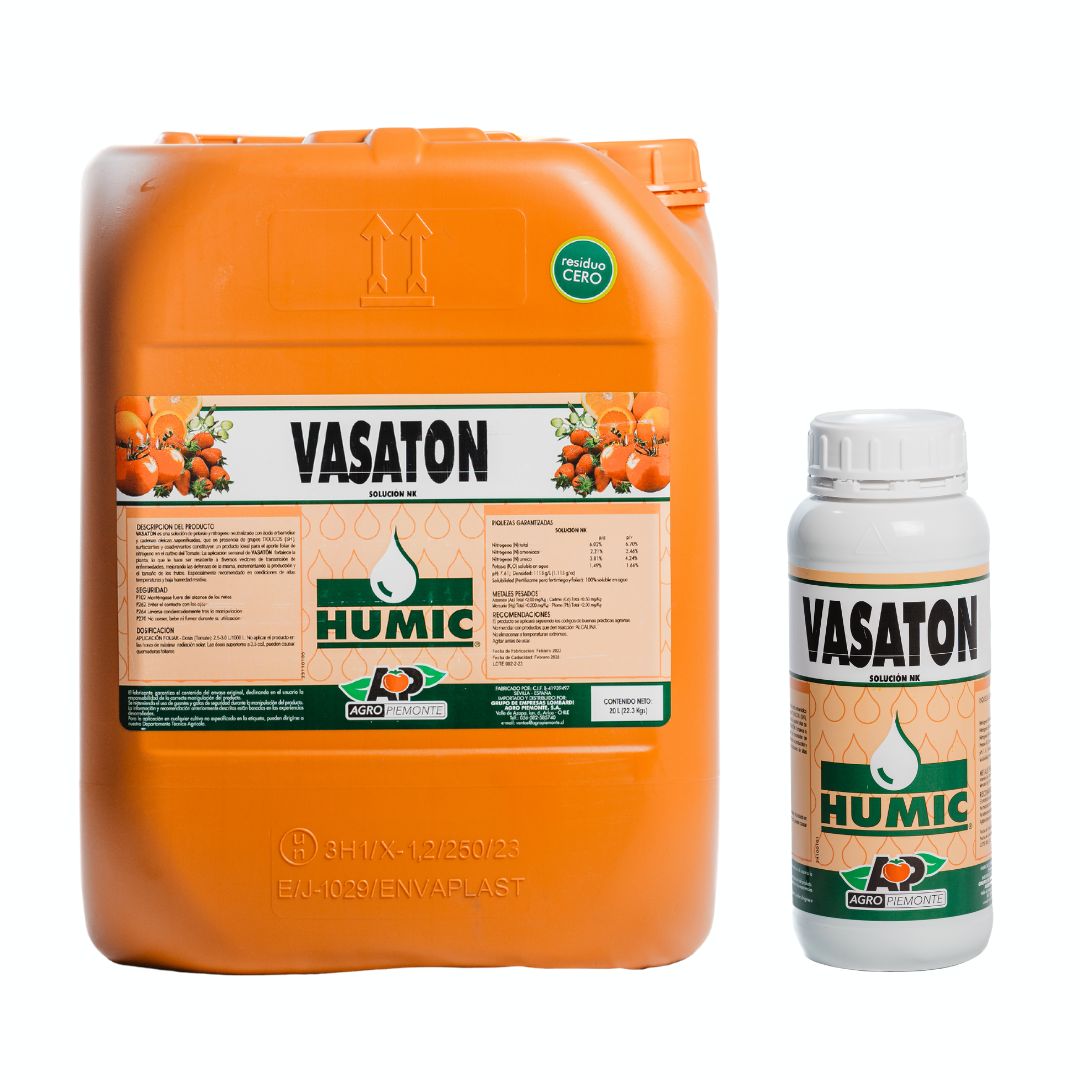 VASATON