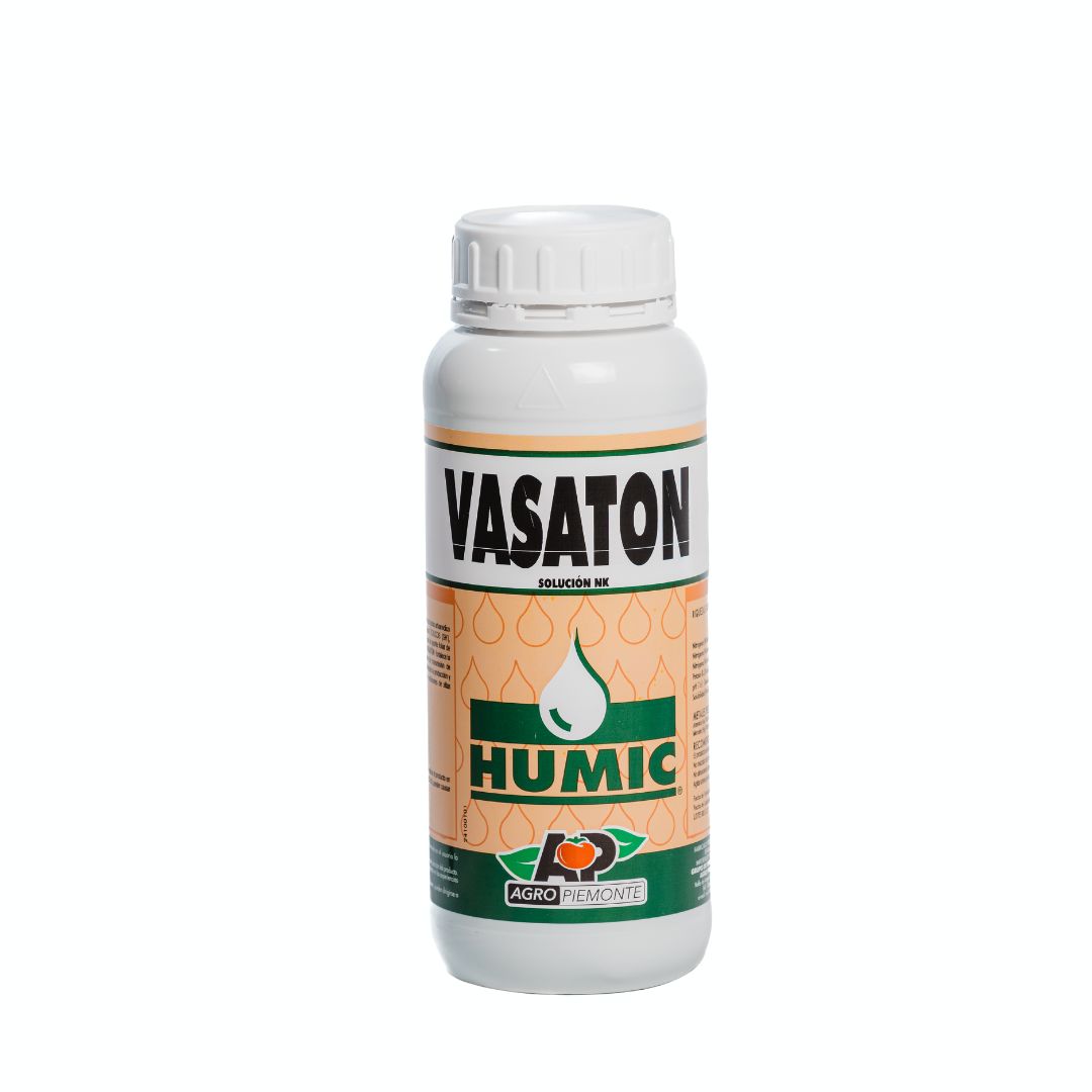 VASATON