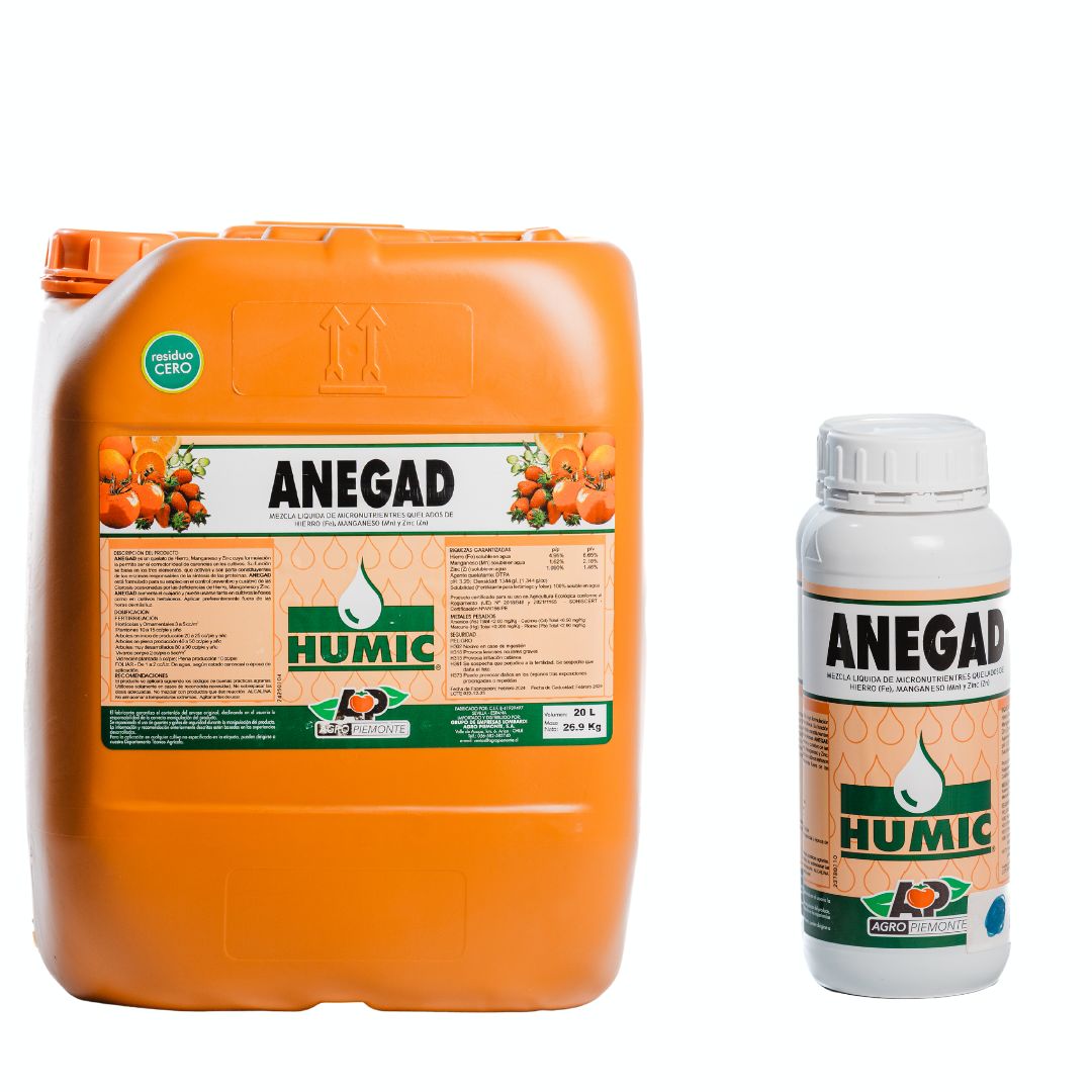 ANEGAD