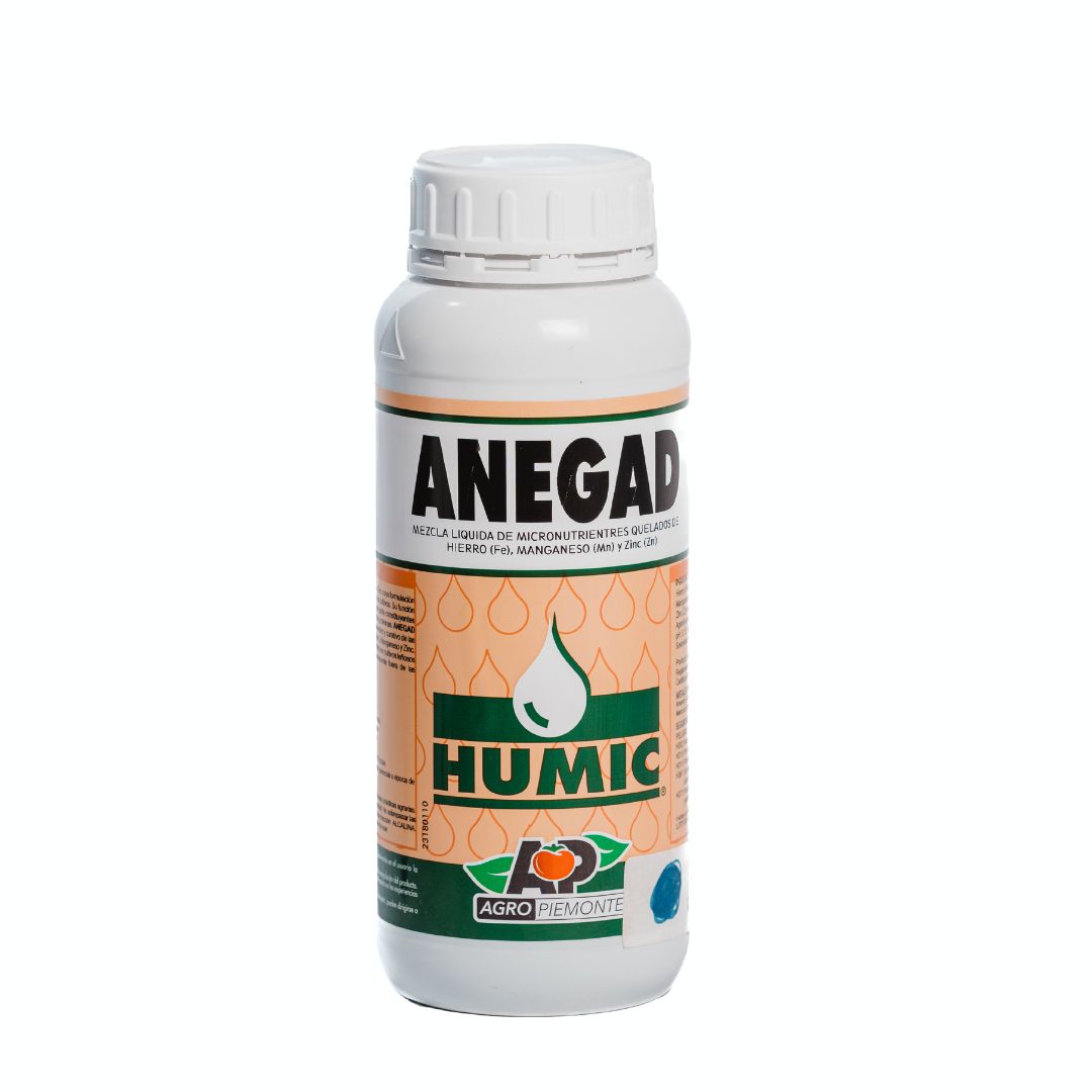 ANEGAD