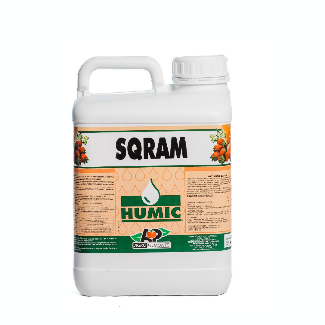 SQRAM