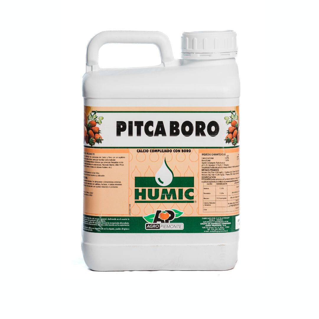 PITCA BORO
