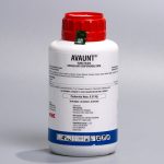 Avaunt