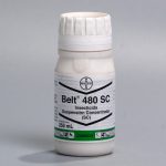 Belt 480 SC