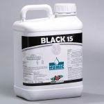 Black 15
