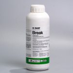 Break