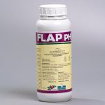 Flap - pH