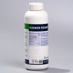 Flower power