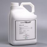 Martello