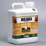 Mojaka