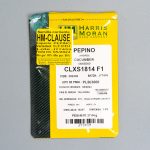 Pepino CLXS 1814