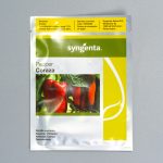 Pimiento Coraza