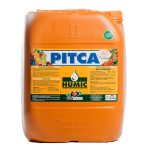 Pitca