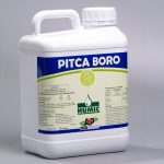 Pitca Boro
