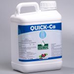 Quick-Ca