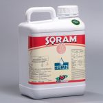 SQRAM