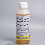 Sivanto Prime