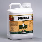 Soilinka