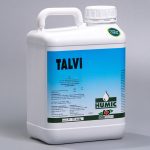 Talvi