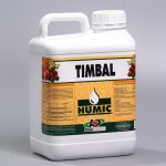 Timbal