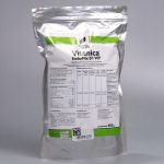 Vitanica EndoMix B1 WP