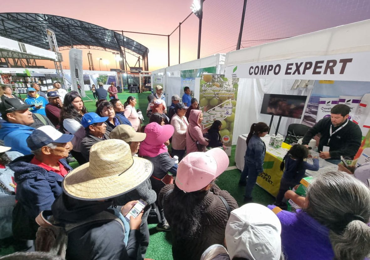 n-1era-feria-5